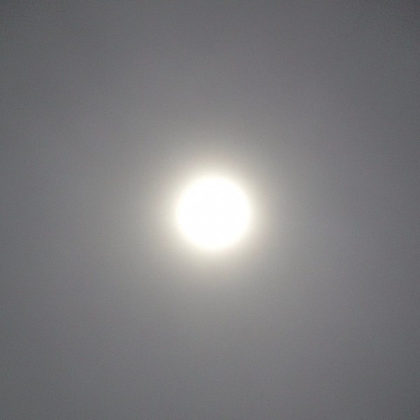 looking up, west